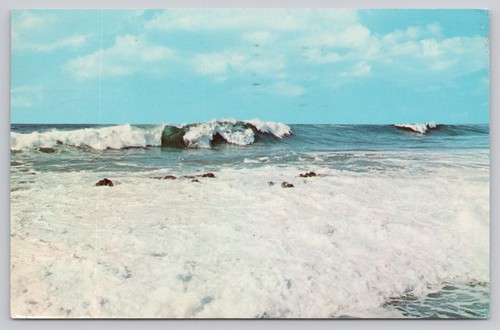 Myrtle beach 1967 hurl rock - beach,