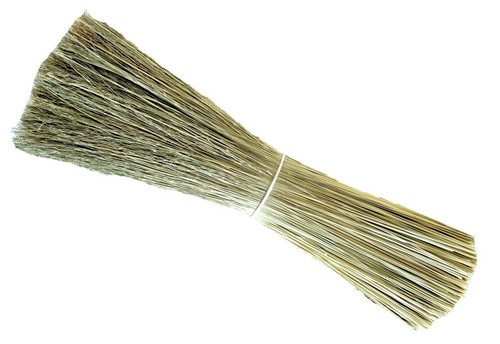 Broomcorn inch length 1 - inch,